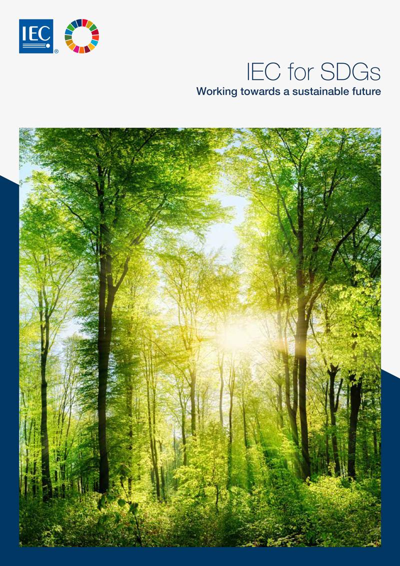 iec_for_sdgs-cover.jpg