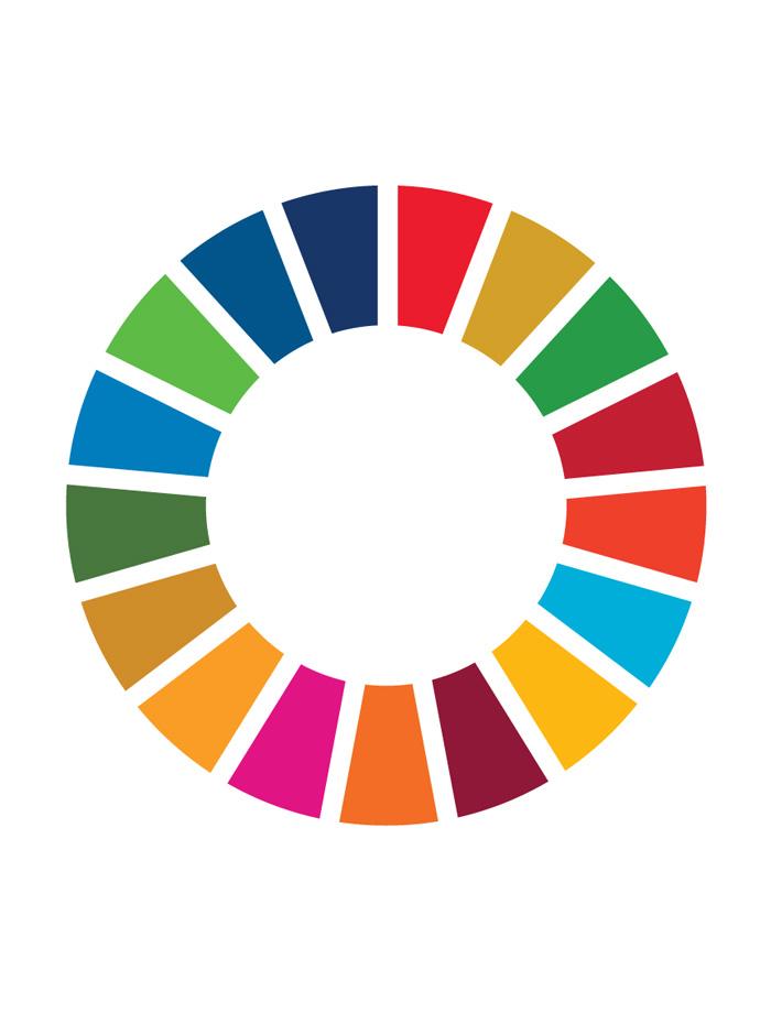 sdg_logo2.jpg