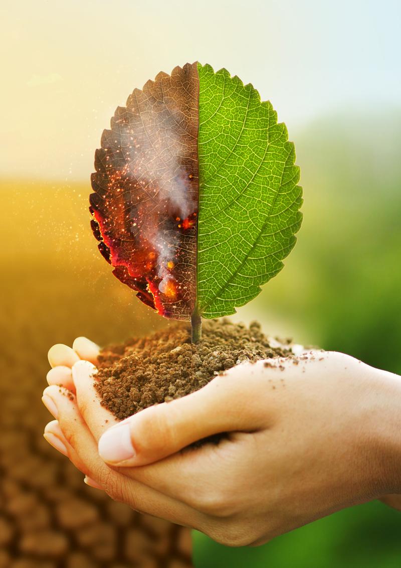 climateaction-thumb.jpg