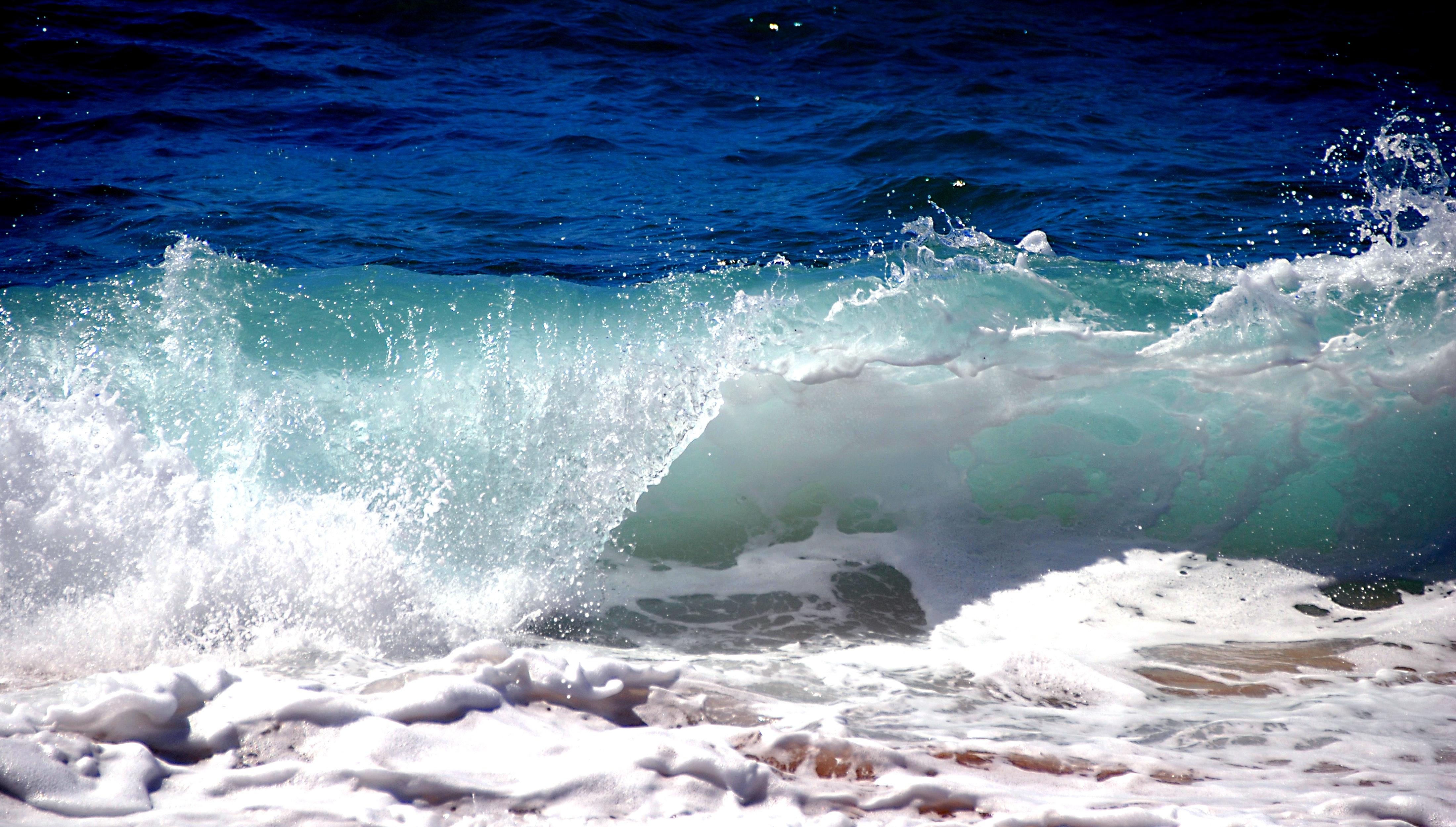 beach-cold-crash-315973.jpg