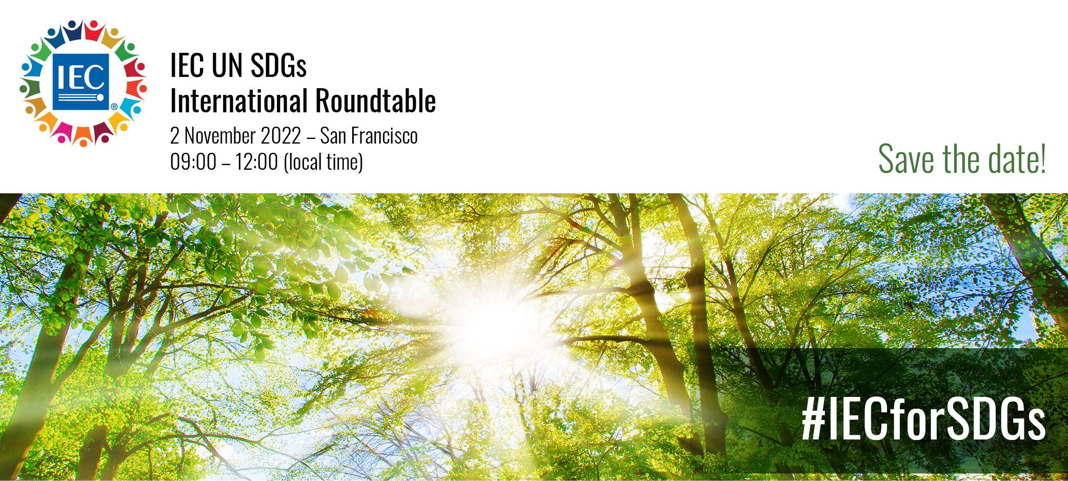 A roundtable around the SDGs at the IEC General Meeting